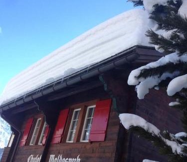 Arosa Apartment | Chalet Waldesruh 2 Zimmerwohnung
