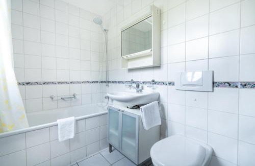 Lenk Apartment | Chalet Wassermandli