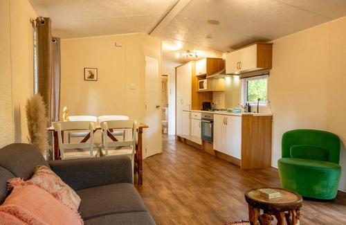 Bosgebied Hoenderloo Ski Chalet | Chalet, with 2 steps in the woods | Veluwe | Kids.