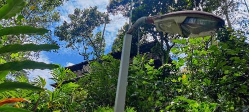 Anachal Resort | Chalona Hill View