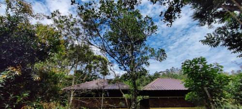 Anachal Resort | Chalona Hill View