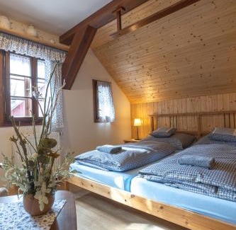 Horni Marsov Ski Chalet | Chalupa Maršovka