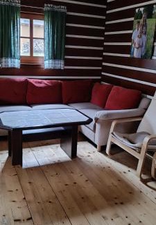 Orlicke Zahori Ski Chalet | Chalupa pod sjezdovkou