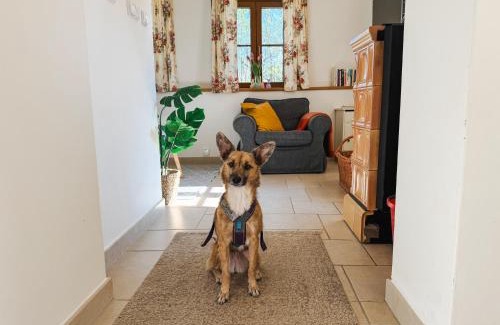 Varvazov House | Chalupa s vlastním koupáním a rozlehlou zahradou