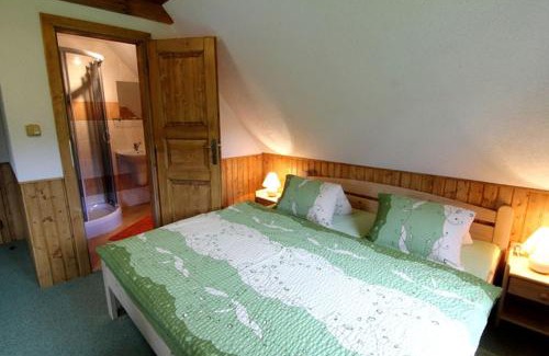 Rokytnice nad Jizerou House | Chalupa u Novotných