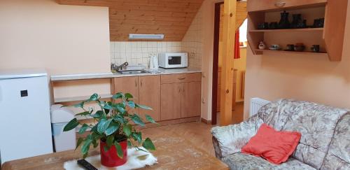 Trojanovice Apartment | Chalupa U Zvonka Trojanovice