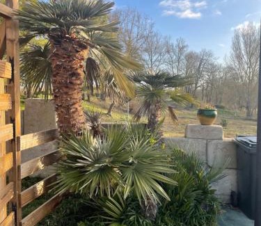 Lescout Bed & Breakfast | Chambre au Domaine Spa-piscine sauna