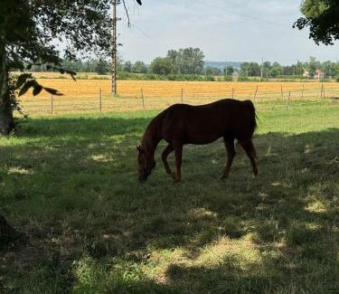 Revel Bed & Breakfast | Chambre d'hôte