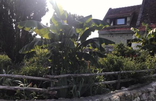 Choussy Bed & Breakfast | Chambre d'Hôtes chez Gustave & Compagnie