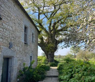 Plescop Bed & Breakfast | Chambre d’hôtes Douce Heure de Chêne