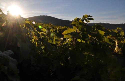 Saint-Julien Bed & Breakfast | Chambre d'hôtes Les Plaisances