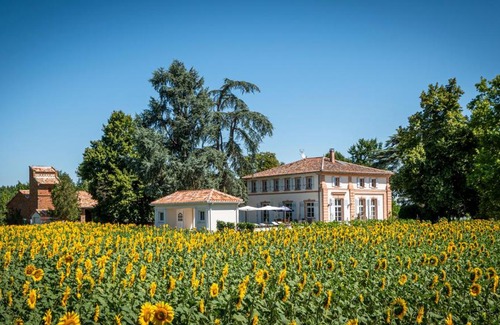 Lacourt-Saint-Pierre Bed & Breakfast | Chambre d'hotes et Table d'hotes Domaine de la terrasse SAS et Gite ANDA Montauban