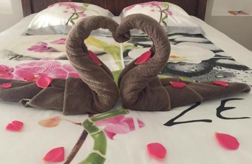 Panazol Bed & Breakfast | Chambre ZEN