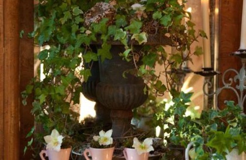 Biscarrosse Bed & Breakfast | Chambres "Au Jardin"