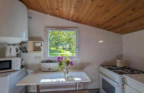 Chatillon-sur-Indre Bed & Breakfast | Chambres d'hôtes avec jardin près des châteaux de la Loire - FR-1-591-666