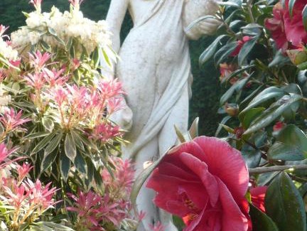 Le Tilleul Bed & Breakfast | Chambres d'hôtes Le Jardin D'Alice