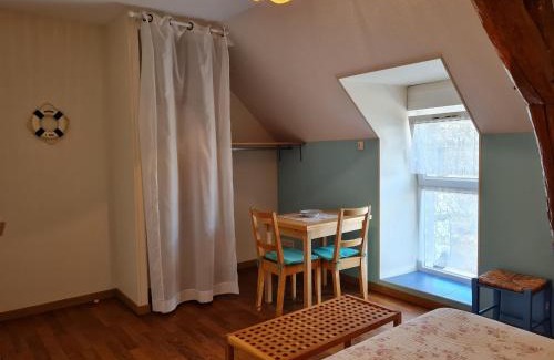 Cravant Bed & Breakfast | Chambres d'hôtes rénovées près des châteaux de la Loire avec expérience ULM possible - FR-1-590-309