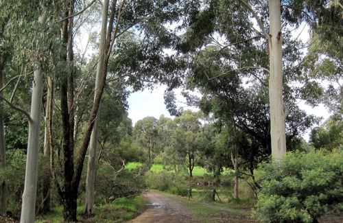 Chapman Hill Cottage | Chapman Hill Cottage Busselton self contained accommodation