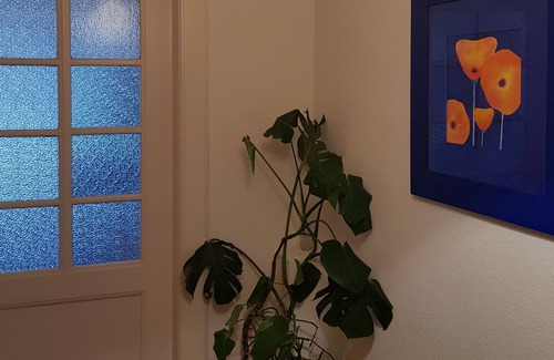 Russee - Hammer Apartment | "Charm meets flair and individuality"