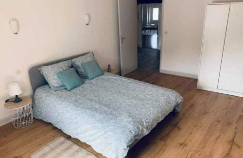 Mazamet Apartment | Charmant appartement T2 hypercentre de Mazamet