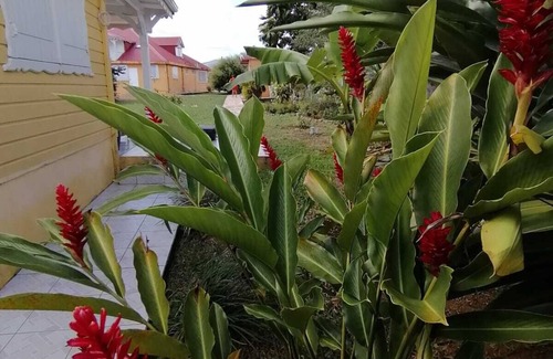 Lamentin House | CHARMANT BUNGALOW CONFORT 42m2