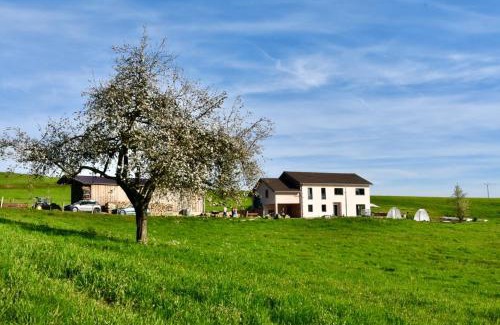 Lepanges-sur-Vologne Apartment | Charmant gîte, au calme, avec vue imprenable sur la nature environnante