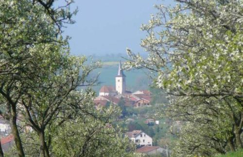 Rozelieures House | Charmant Gîte en Lorraine, Proche Nancy et Vosges, Terrasse et Confort Tout Équipé - FR-1-584-59