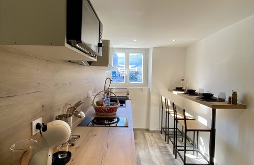 Secteur 1 Apartment | Charmant Studio, à la Gare de Grenoble Avec Mezzanine