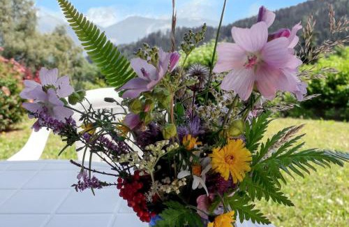 Cordon Apartment | Charmant studio avec vue sur le Mont Blanc - 22 m² - Cordon