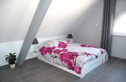 Durrenentzen Apartment | Charmant sudio aux portes de Colmar