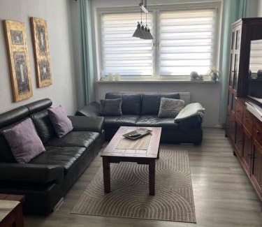 Pokrent Apartment | Charmante 2 Zimmer-Wohnung 55qm mit Gartenblick
