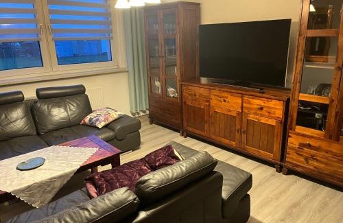 Pokrent Apartment | Charmante 2 Zimmer-Wohnung 55qm mit Gartenblick