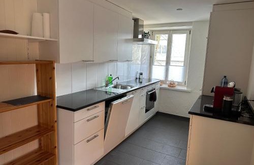 Uster District Apartment | charmante 3,5 Zimmer Wohnung in Bauernhaus