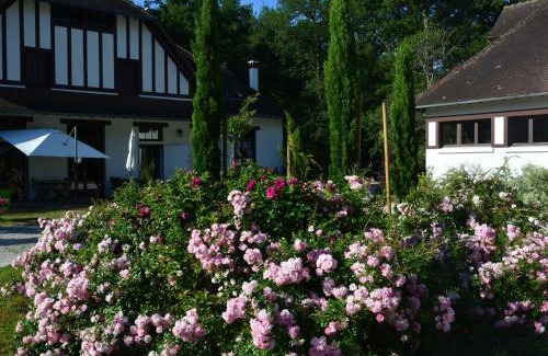 Ligny-le-Ribault Bed & Breakfast | Charmante Chambre d'Hôtes avec Jardin Arboré, Près des Châteaux et Golfs - FR-1-590-313