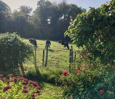 Les Damps House | Charmante Datcha en Normandie