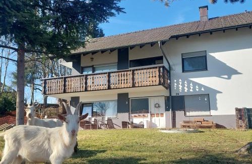 Albbruck Apartment | Charmantes Albbruck Rückzugsort