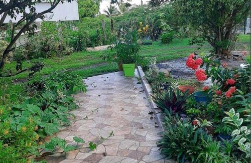 Point d'Or Apartment | Charmants studios au sein d'un cadre tropical, accès aux arbres fruitiers, wifi gratuit, à 5 min de l'aéroport