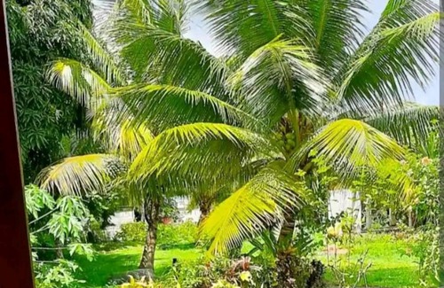 Point d'Or Apartment | Charmants studios au sein d'un cadre tropical, accès aux arbres fruitiers, wifi gratuit, à 5 min de l'aéroport