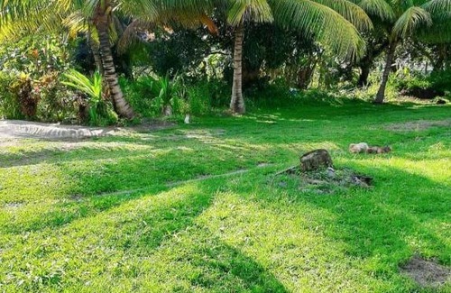 Point d'Or Apartment | Charmants studios au sein d'un cadre tropical, accès aux arbres fruitiers, wifi gratuit, à 5 min de l'aéroport