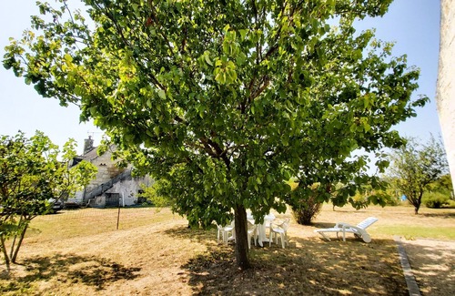 Saint-Patrice House | Charme en Touraine 7p #châteaux #nature #vignobles