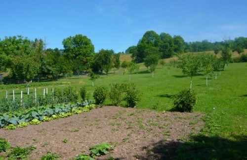 Velotte-et-Tatignecourt Cottage | Charming Modern Cottage with Fireplace, Billiards, and Private Terrace in Velotte-et-Tatignécourt