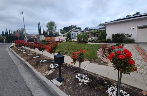 Saratoga House | Charming 1-bedroom available in a lovely home in Saratoga with lots of amenities
