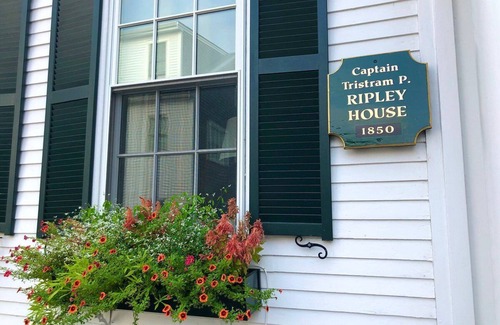 Edgartown Hotel | Charming 1-bedroom hotel in the heart of Martha's Vineyard - Oct. 20-27 2024