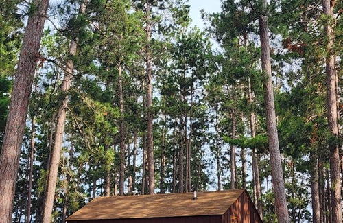Park Rapids Cabin | Charming 1-bedroom cabin in wonderful Park Rapids with AC & WIFI. includes Dock.