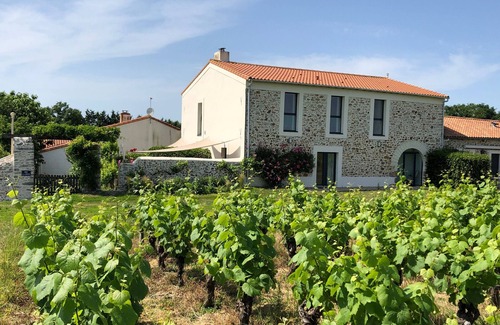 Chateau-Thebaud Cottage | Charming 15th-Century Cottage in Vineyard with Terrace, Bikes & EV Charging