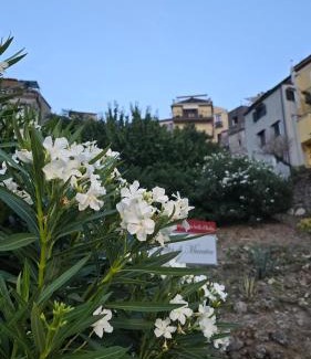 Maratea Apartment | Charming 1bed in historic centre