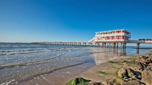 Texas City Apartment | Charming 1BR Getaway - Private, Pet Friendly, TV