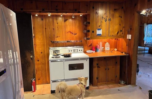 San Mateo County House | Charming 2 Bedroom House in the Butano Redwood Forest in Pescadero with Wi-Fi