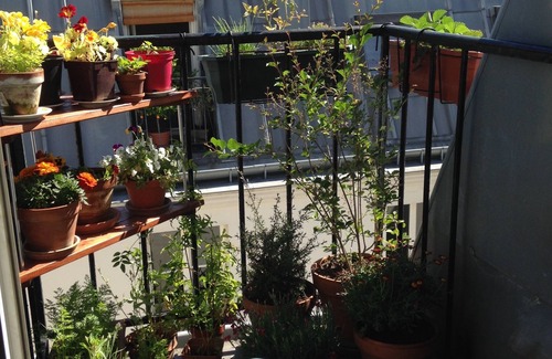 Quartier de la Goutte-d'Or Apartment | Charming 2 rooms in Montmartre