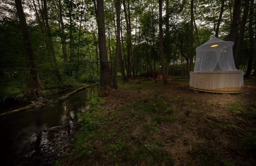 Lubusz Province Ski Chalet | Charming . A Cottage in the Middle of the Woods